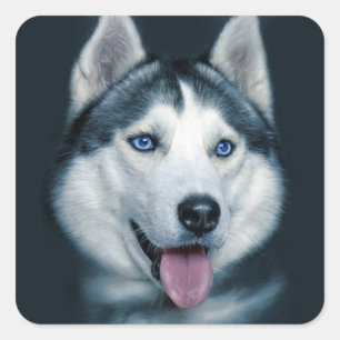 Love Siberian Husky Puppy Dog Greeting Stickers