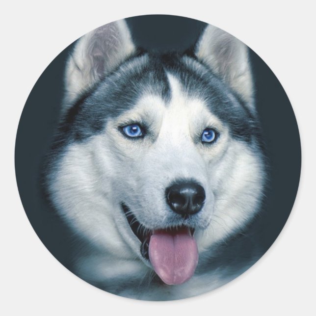 Love Siberian Husky Puppy Dog Greeting Stickers (Front)