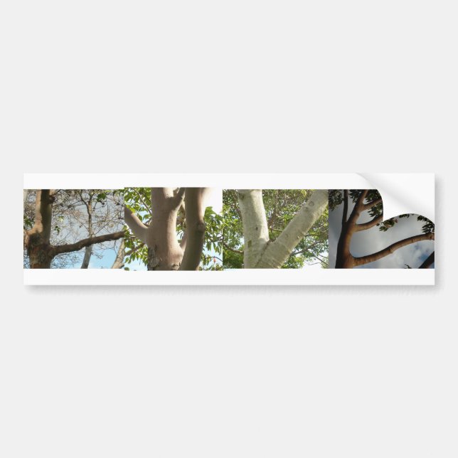 LOVE, spelled out by trees Bumper Sticker (Front)
