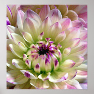 Love Spreading_Poster Poster
