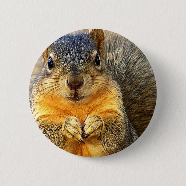 Love Squirrel_ 6 Cm Round Badge (Front)