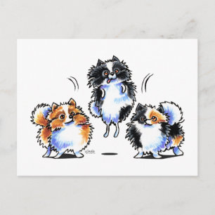 Love to Parti Pomeranians Postcard