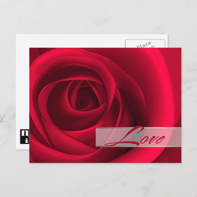 Love. Valentine's Day Red Rose  Holiday Postcard (Front/Back)