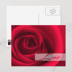 Love. Valentine's Day Red Rose  Holiday Postcard