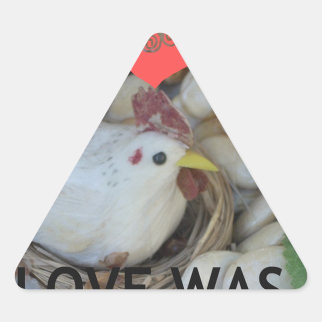 Love was in the Air Triangle Sticker (Front)