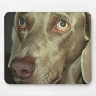 Love Weimeraner  Mouse Pad