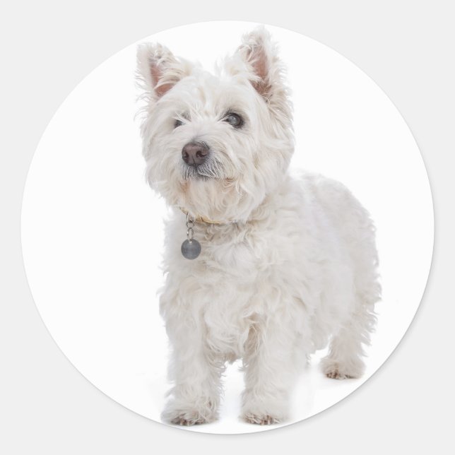 Love West Highland Terrier Puppy Dog Sticker Seal (Front)
