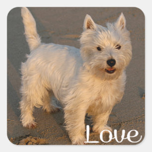 Love West Highland Terrier Puppy Dog Sticker Seal