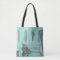 Love When it Seems Impossible it Heals the Soul