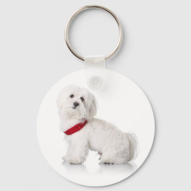 Love White Bichon Frise Puppy Dog Keychain (Front)