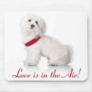 Love White Bichon Frise Puppy Dog Mousepad