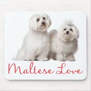 Love White Maltese Puppy Dog Mouse Pad