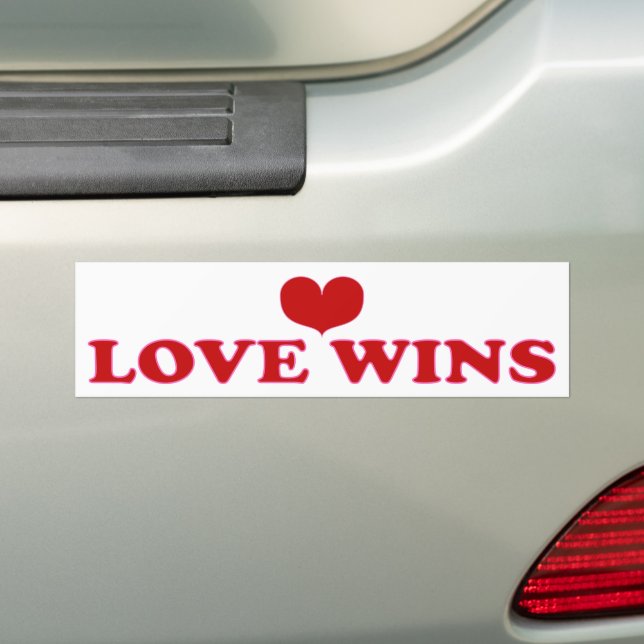 Love Wins - Fight Racism & Prejudice Bumper Sticker (On Car)