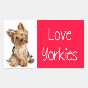 Love Yorkies Yorkshire Terrier Puppy Dog Sticker