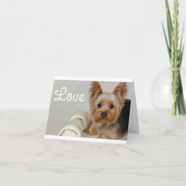 Love Yorkshire Terrier Puppy Dog Blank Card (Front)