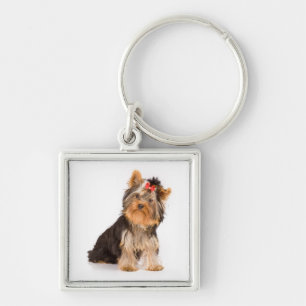 Love Yorkshire Terrier Puppy Dog Key Chain