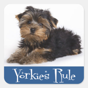 Love Yorkshire Terrier Puppy Dog Sticker / Seals