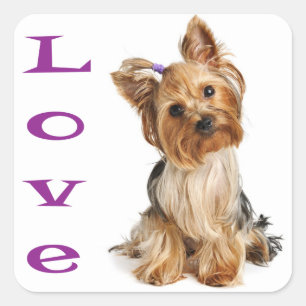 Love Yorkshire Terrier Puppy Dog Sticker / Seals