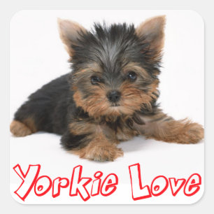Love Yorkshire Terrier Puppy Dog Sticker / Seals
