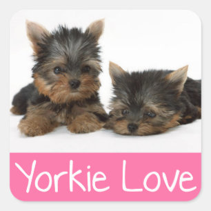 Love Yorkshire Terrier Puppy Dog Sticker / Seals