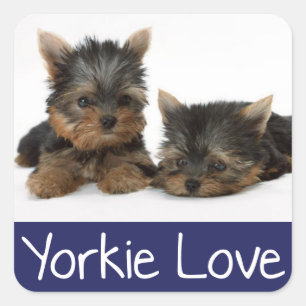 Love Yorkshire Terrier Puppy Dog Sticker / Seals