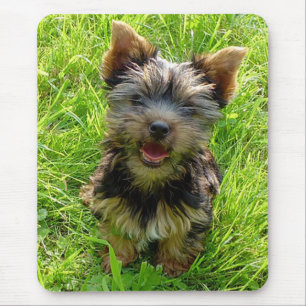 Love Yorkshire Terrier Puppy Mousepad