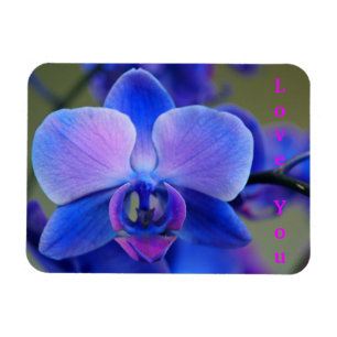 Love You  Blue and Soft Pink Orchid Magnet