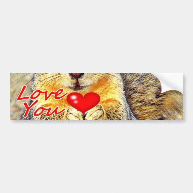 Love You_ Bumper Sticker (Front)