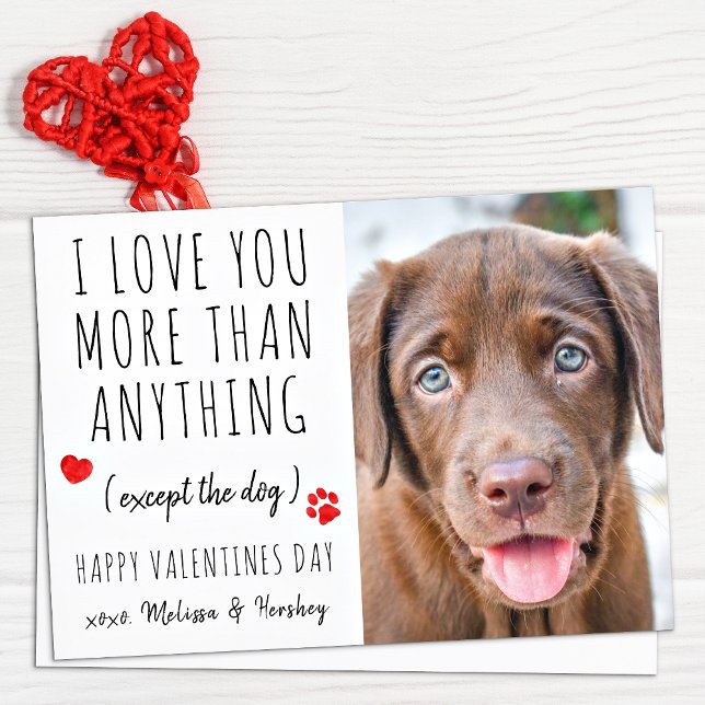 Love You Funny Dog Lover Pet Photo Valentines Day Holiday Card (Creator Uploaded)