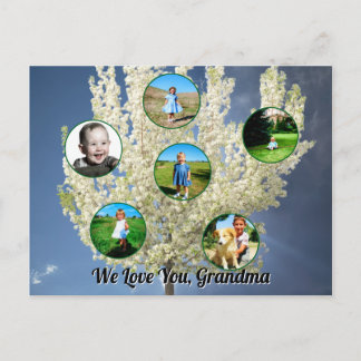 Love You Grandma White Blossoming Tree Six Photos Postcard