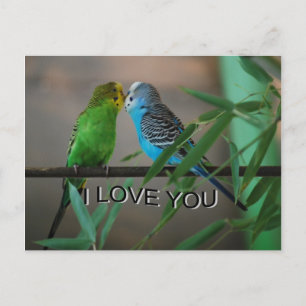 love you keets postcard