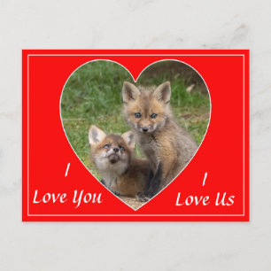 Love You, Love Us Valentine  Postcard