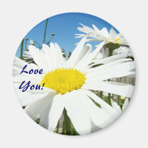 Love You! magnets Blue Sky White Daisy Flowers