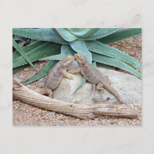 Love you_Reptiles Postcard