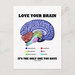 Love Your Brain It's The Only One You Have (Brain) Postcard