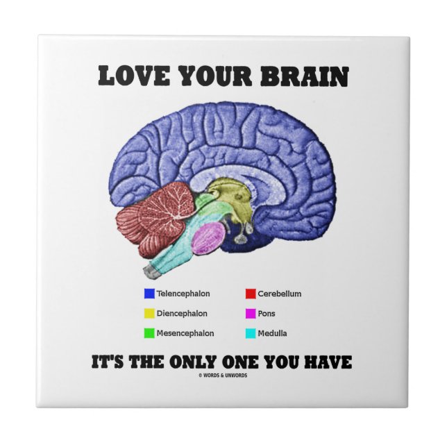Love Your Brain It's The Only One You Have (Brain) Tile (Front)