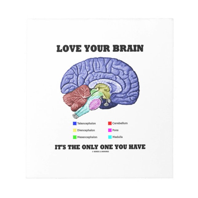 Love Your Brain It's The Only One You Have (Humour Notepad (Front)