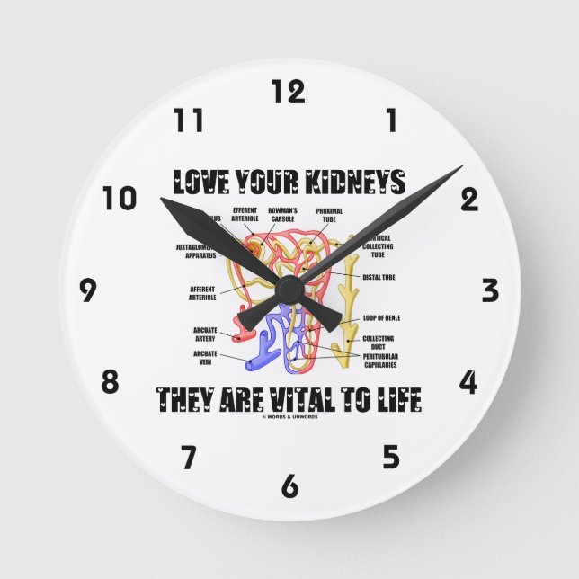 Love Your Kidneys They Are Vital To Life (Nephron) Round Clock (Front)