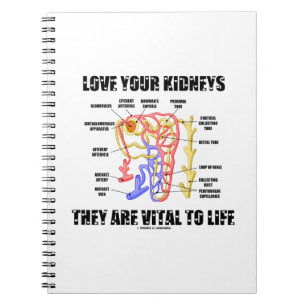 Love Your Kidneys They Are Vital To Life (Nephron) Spiral Notebook