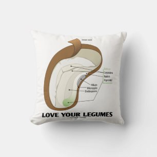 Love Your Legumes Bean Dicotyledon Cushion