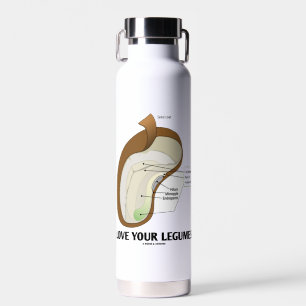 Love Your Legumes Bean Dicotyledon Water Bottle