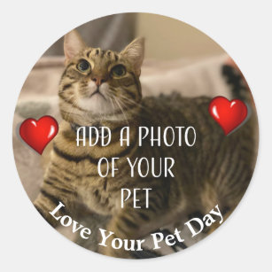 Love Your Pet Day Classic Round Sticker