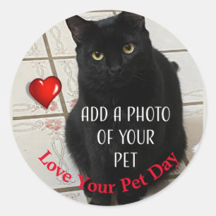 Love Your Pet Day Classic Round Sticker