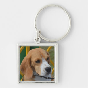 Loveable Beagle Key Ring
