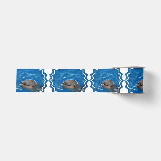 Loveable Dolphin Grosgrain Ribbon