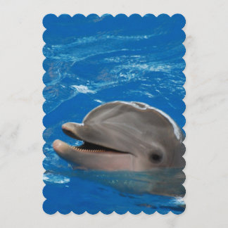 Loveable Dolphin Invitation