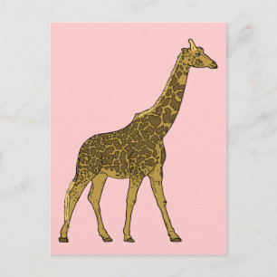 Loveable Giraffe Postcard