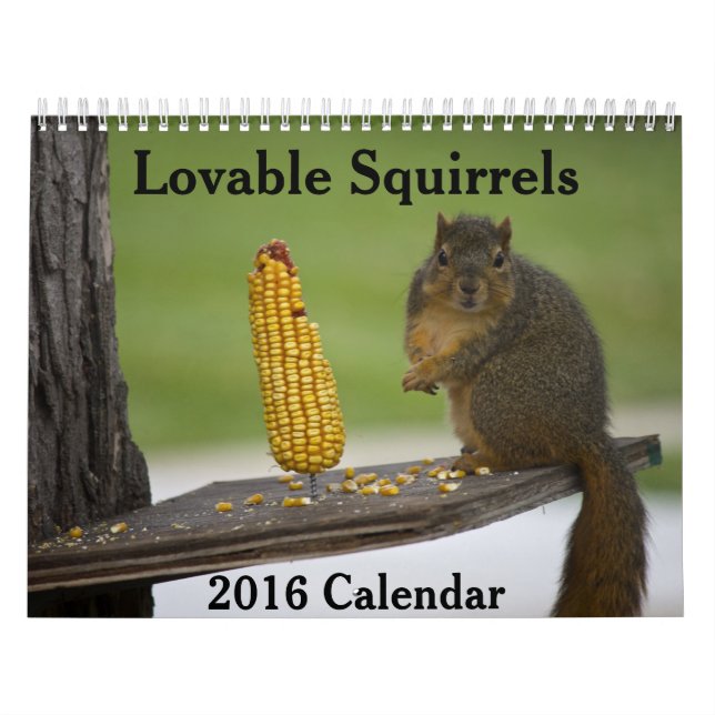 Loveable Squirrels 2016 Calendar (Cover)