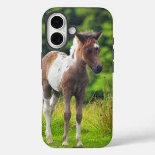 Loveable Standing Dartmoor Pony Foal iPhone 16 Case