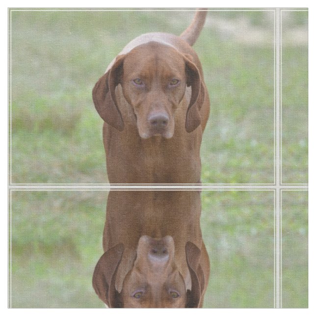 Loveable Vizsla Fabric (Close Up)
